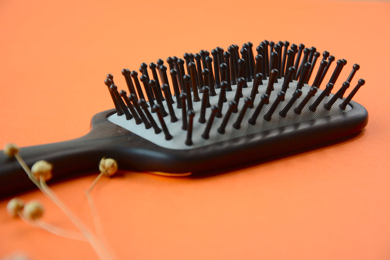 Bunny Carrot Hair Brush